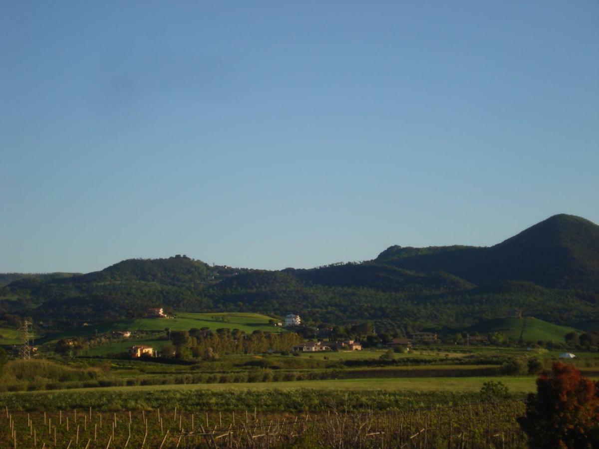 Bed & Breakfast La Mia Casa Per Tutti Cerveteri